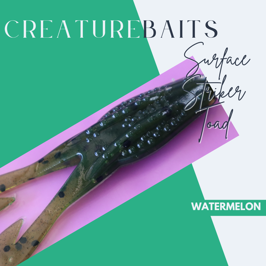 4" Surface Striker Toad