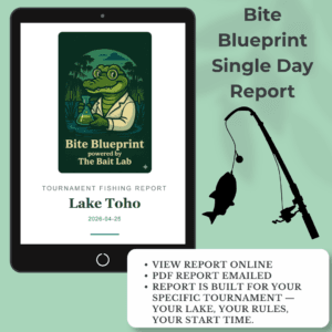 Bite Blueprint Single Report Credit
